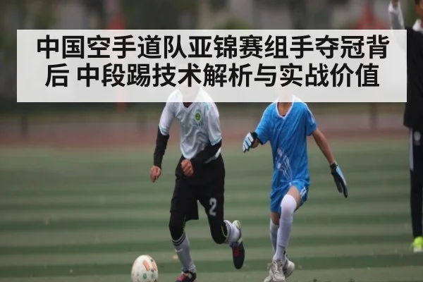 中国空手道队亚锦赛组手夺冠背后 中段踢技术解析与实战价值